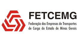 FetCemg